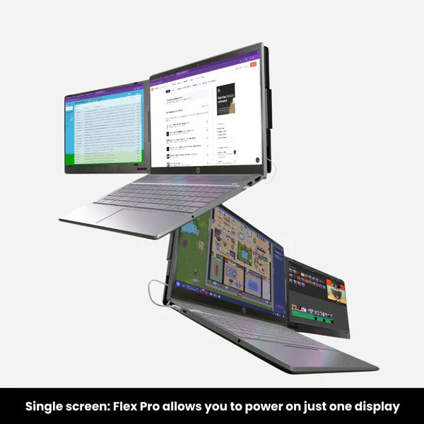 The Dual Portable Monitors