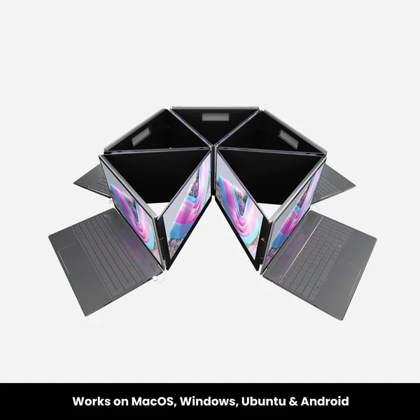 The Dual Portable Monitors